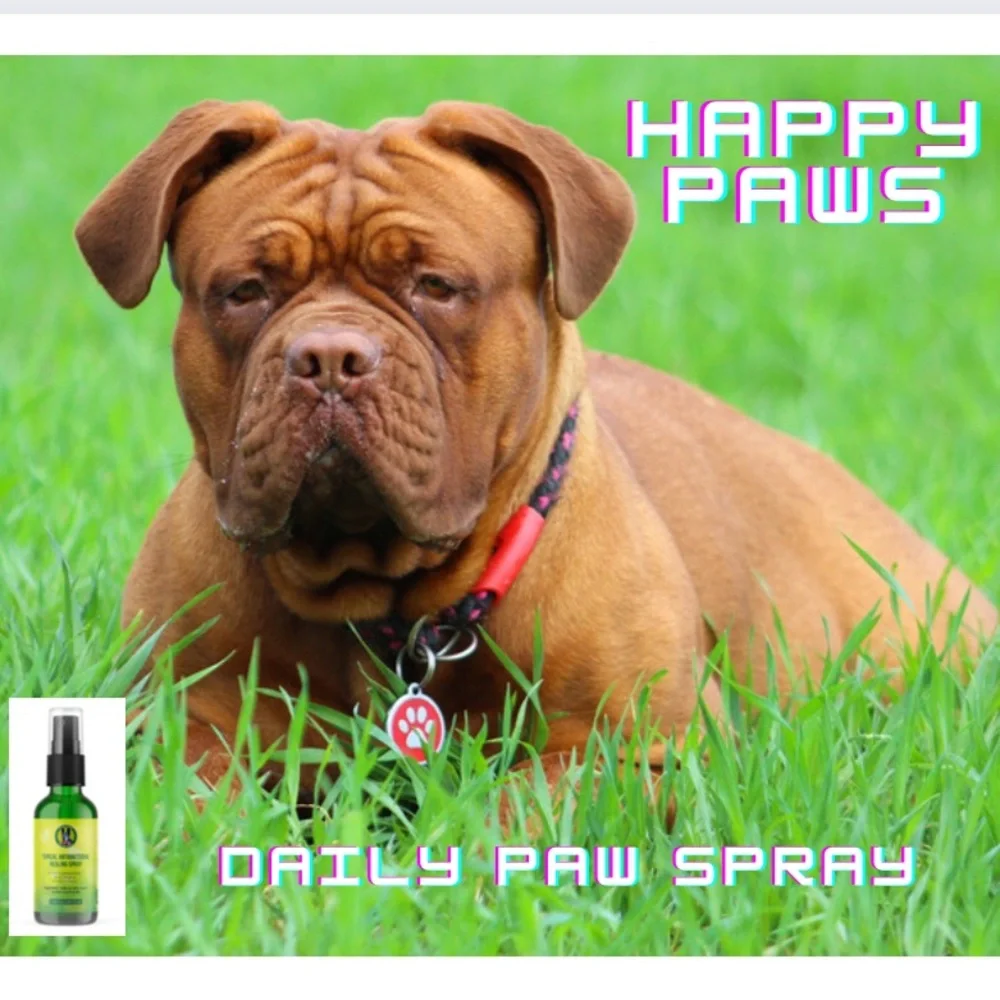Green Dawg Happy Paws Spray Silver Healing Antibacterial For Dogs and Humans